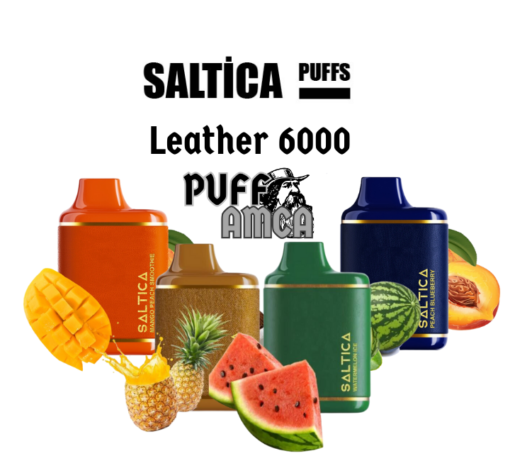saltica-6000