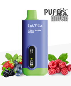 saltica 10000 forest berry storm puff puffamca.info