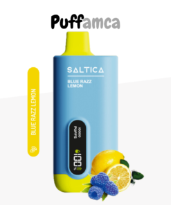 Saltica 12OOO Puff Puffamca.info